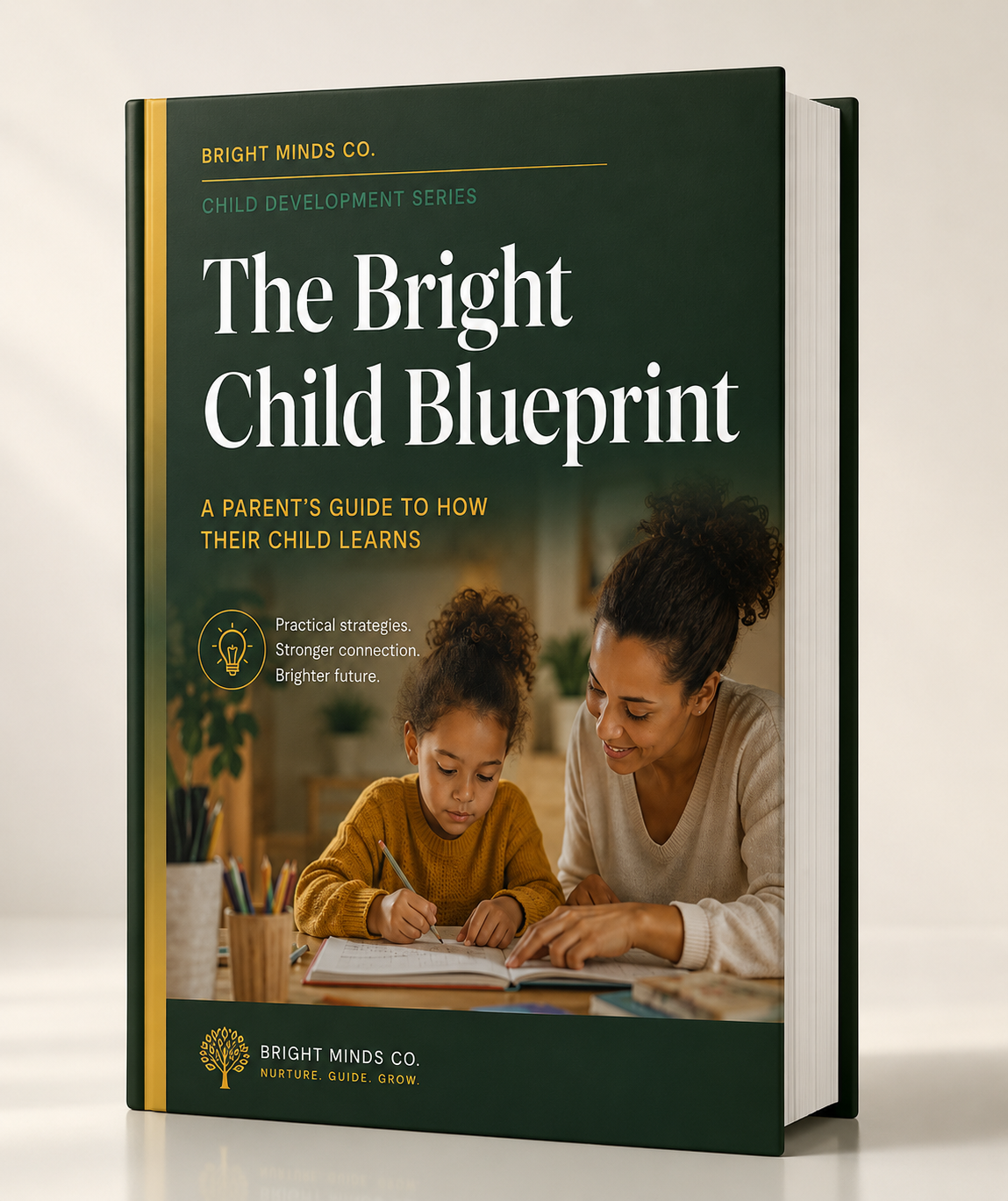 The Bright Child Blueprint - A Parent's Guide to How Their Child Learns